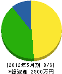 津田建設 貸借対照表 2012年5月期