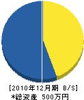 糸川建築店 貸借対照表 2010年12月期