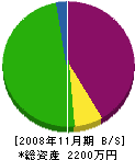 丸濱ワーク 貸借対照表 2008年11月期