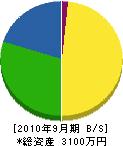 松竹園 貸借対照表 2010年9月期