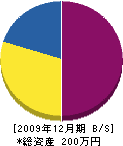 平谷塗装 貸借対照表 2009年12月期