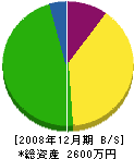 岩平電機工業所 貸借対照表 2008年12月期