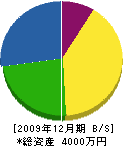 明田板金工業 貸借対照表 2009年12月期