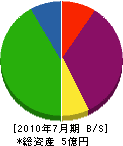手塚建材 貸借対照表 2010年7月期