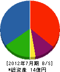 小菅建設興業 貸借対照表 2012年7月期
