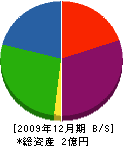 小川工務店 貸借対照表 2009年12月期