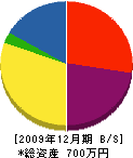 ヤマシナ地建 貸借対照表 2009年12月期