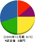 丸朋堀川建設 貸借対照表 2009年12月期