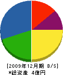 丸朋堀川建設 貸借対照表 2009年12月期 丸朋堀川建設 貸借対照表 2009年12月期