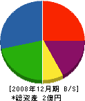 シーメンス・ジャパン 貸借対照表 2008年12月期