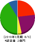 日本地下工業 貸借対照表 2010年3月期