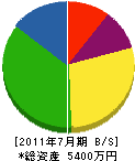 太田装美社 貸借対照表 2011年7月期