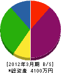 薄井電気 貸借対照表 2012年3月期