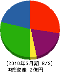関川建設 貸借対照表 2010年5月期