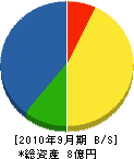 寺島塗装店 貸借対照表 2010年9月期