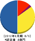 北川緑化工業 貸借対照表 2012年6月期
