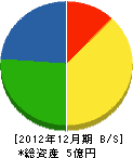 篠村建設 貸借対照表 2012年12月期