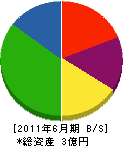 涌井組 貸借対照表 2011年6月期