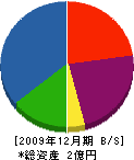 筑波ランドスケープ 貸借対照表 2009年12月期