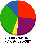 藤田水道工業 貸借対照表 2010年6月期