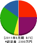 萩原起業 貸借対照表 2011年6月期