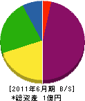 金田建材 貸借対照表 2011年6月期