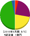 シンワ 貸借対照表 2010年6月期 シンワ 貸借対照表 2010年6月期