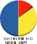 北川緑化工業 貸借対照表 2011年6月期