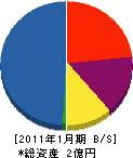 正田建設 貸借対照表 2011年1月期
