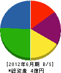 山田産業 貸借対照表 2012年6月期