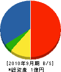 誠光無線工業 貸借対照表 2010年9月期