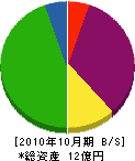 日本珪砂 貸借対照表 2010年10月期