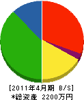津田電気 貸借対照表 2011年4月期