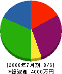永田土木工業 貸借対照表 2008年7月期