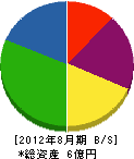 糸山建設 貸借対照表 2012年8月期