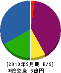 成井土建 貸借対照表 2010年9月期