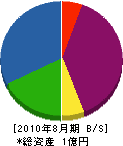 ＊田水道 貸借対照表 2010年8月期