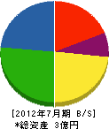 上田電業 貸借対照表 2012年7月期