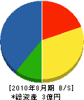 田辺豊建設 貸借対照表 2010年8月期