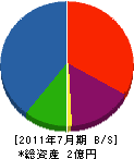 村井建設 貸借対照表 2011年7月期