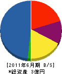 吉田組 貸借対照表 2011年6月期