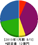 新日本技研 貸借対照表 2013年1月期