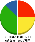 井上組 貸借対照表 2010年5月期