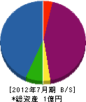 東京エンジニアリング 貸借対照表 2012年7月期