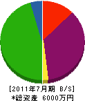 串田管工設備 貸借対照表 2011年7月期