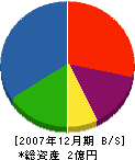 大興技建 貸借対照表 2007年12月期 大興技建 貸借対照表 2007年12月期