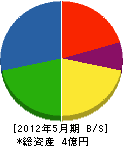 筑紫商会 貸借対照表 2012年5月期