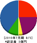 笹原建設 貸借対照表 2010年7月期