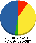 徳永建設 貸借対照表 2007年12月期