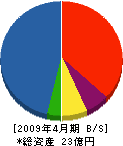 山幸 貸借対照表 2009年4月期